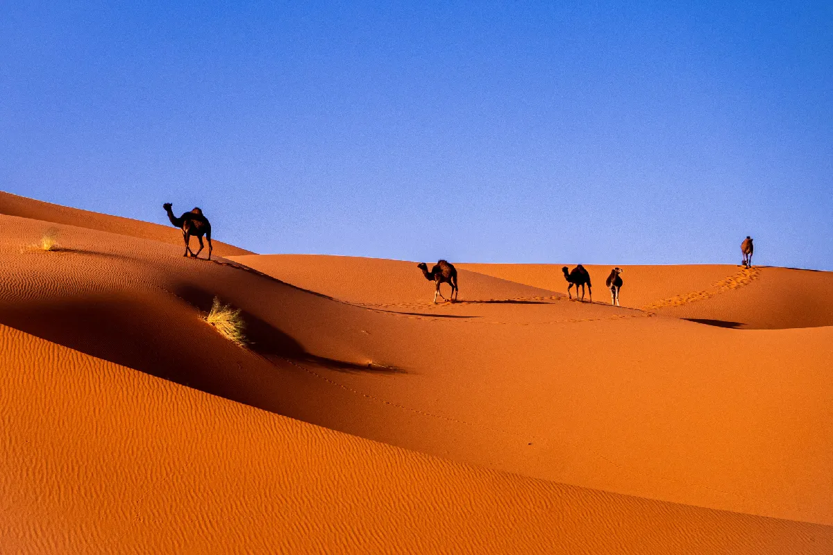 Morocco view 2